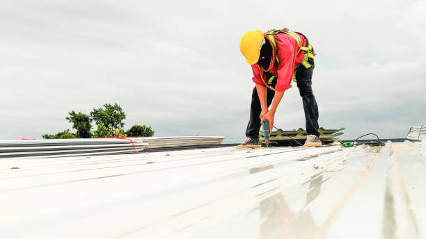 Best Roof Waterproofing  in Flint, MI