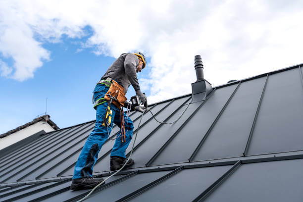 Best Roof Leak Repair  in Flint, MI